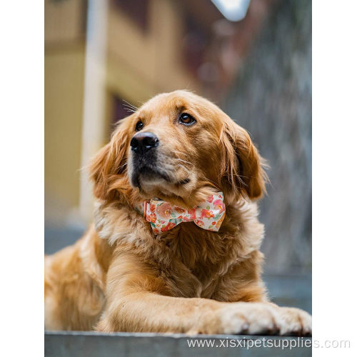 OEM Accept Adjustable Dog Collar and Bowtie Custom